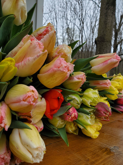 Tulip Bouquets -- Pre-Order