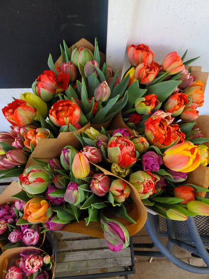 Tulip Bouquets -- Pre-Order