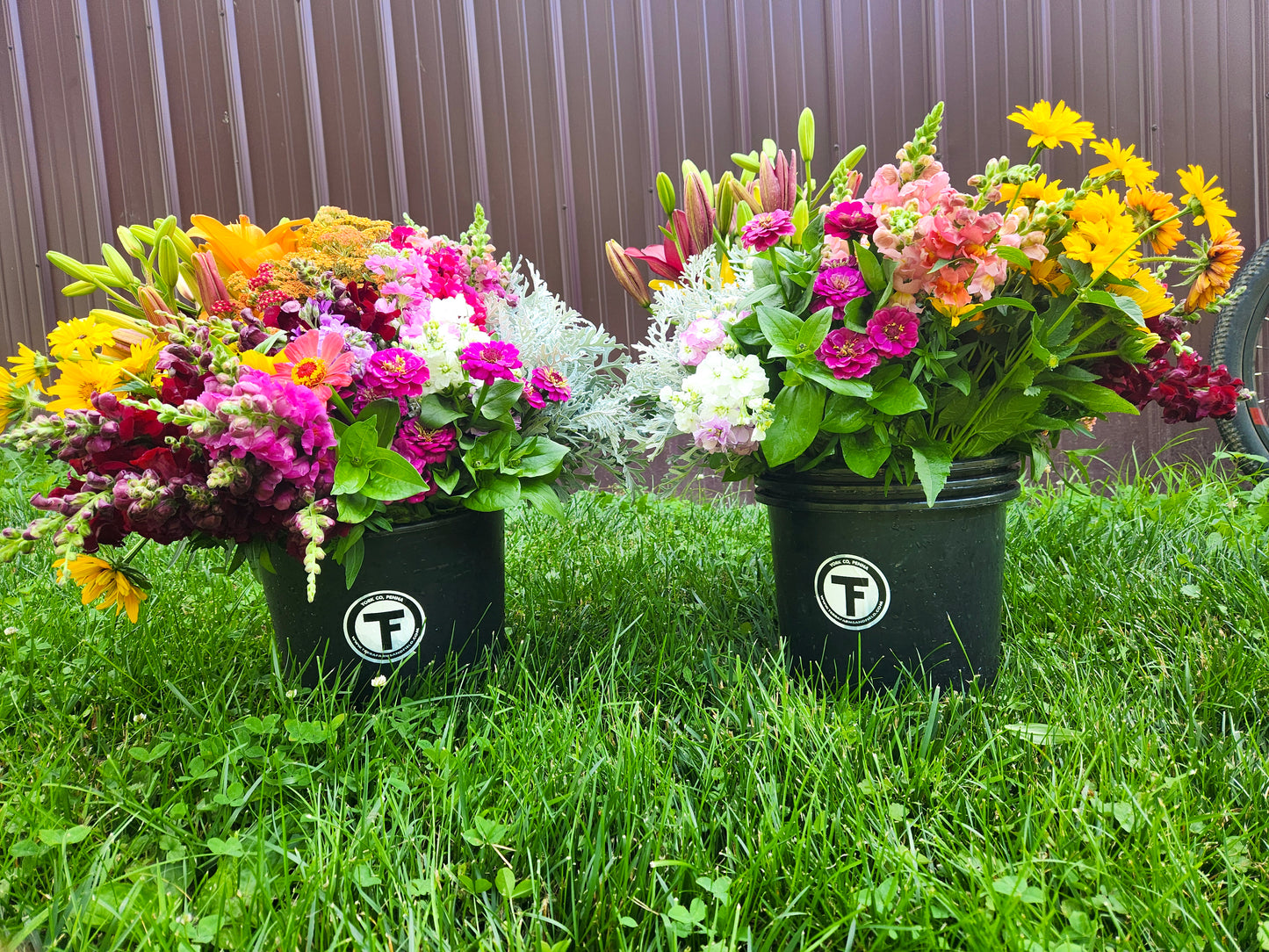 Summer Bloom Bucket -- Four-Bucket Package