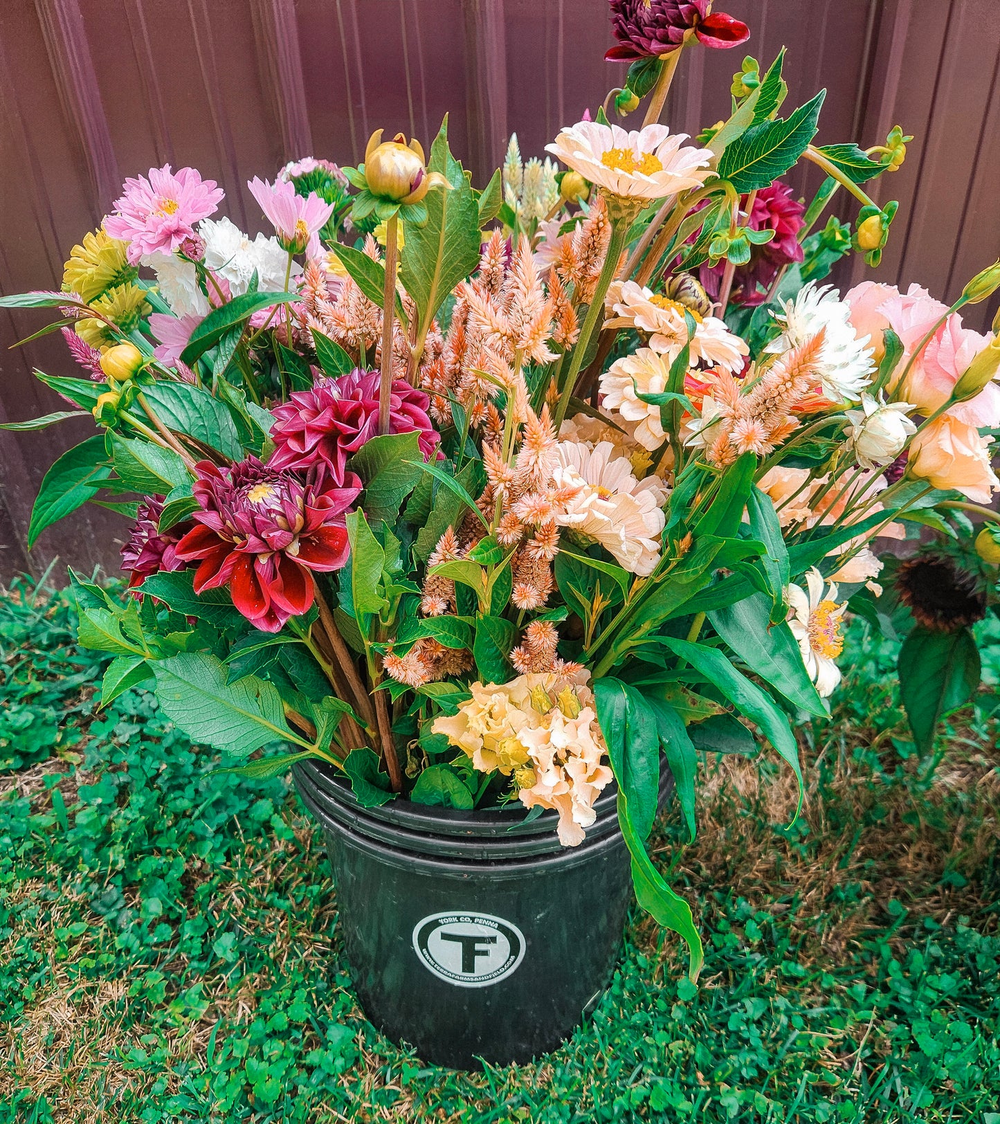 Summer Bloom Bucket -- Four-Bucket Package